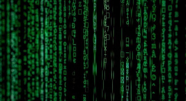 Protection contre les ransomwares pour les entreprises en France